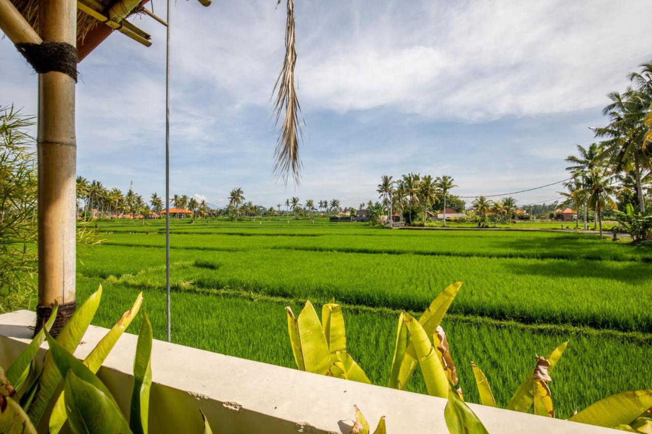 Sisin Ubud View Exterior foto
